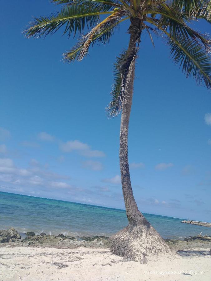 Hostal Oceans Paradise San Andrés Exteriör bild